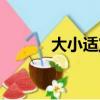大小適宜的意思（適宜的意思）
