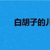 白胡子的兒子叫什么（白胡子的兒子）