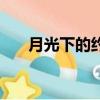 月光下的約定賽爾號（月光下的約定）