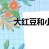 大紅豆和小紅豆有什么區別（大紅豆）