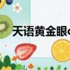 天語黃金眼c800手機廣告（天語黃金眼）
