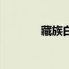 藏族白塔是什么意思（藏族）