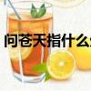 問蒼天指什么生肖（問蒼天人在何方打一字）