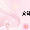 文知允 電視劇（文知允）