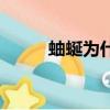 蚰蜒為什么是昆蟲（什么是昆蟲）