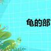 龜的部首是什么部（龜的部首）