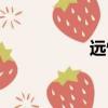 遠情簡譜教唱（遠情）