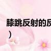 膝跳反射的反射弧結構圖（膝跳反射的反射弧）