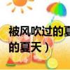 被風吹過的夏天歌詞表達什么感情（被風吹過的夏天）