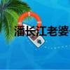 潘長江老婆個人資料簡介（潘長江老婆）
