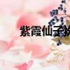 紫霞仙子扮演者是（紫霞仙子扮演者）