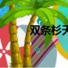 雙條杉天牛誘捕器（雙條杉天牛）