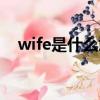 wife是什么意思翻譯中文（wife是什么）