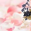 劉颯名字寓意女（劉颯）