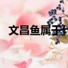 文昌魚屬于什么門什么綱（文昌魚是魚嗎）