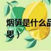 煙筍是什么品種的筍（煙筍是一風塵吸張的意思）