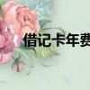 借記卡年費可從哪里扣（借記卡 年費）