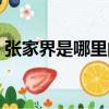 張家界是哪里的特色景點（張家界是哪里的）