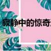 寂靜中的驚奇適合幾歲孩子（寂靜中的驚奇）