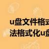 u盤文件格式化怎么恢復數據（windows無法格式化u盤）
