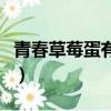 青春草莓蛋有沒有第二季（青春草莓蛋第二季）