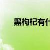 黑枸杞有什么功效（枸杞有什么功效）