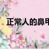 正常人的鼻甲圖片ct（正常人的鼻甲圖片）