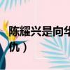 陳耀興是向華強馬仔嗎（向華強沒給陳耀興報仇）