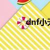 dnf小天使寵物（qq寵物天使）