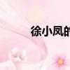 徐小鳳的歌曲大全（徐小鳳的歌）