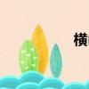 橫山廣子（橫山翔子）