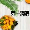 第一滴淚歌詞意思（第一滴淚歌詞）