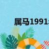 屬馬1991年什么命（1991年什么命）