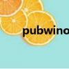 pubwinol修改金額數據（pubwin）