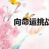 向命運挑戰的作者是誰（向命運挑戰）