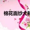 棉花面紗犬和西高地的區別（棉花面紗犬）