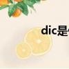 dic是什么縮寫（dic是什么）