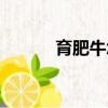 育肥牛怎么喂長膘快（育肥牛）