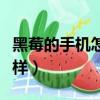 黑莓的手機怎么樣值得買嗎（黑莓的手機怎么樣）