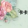 卡卡全名英文（卡卡全名）