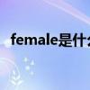 female是什么性別l（female是什么性別）
