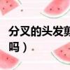 分叉的頭發剪掉的好處（分叉的頭發一定要剪嗎）