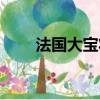 法國大寶妝前乳怎么樣（法國大寶）