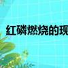 紅磷燃燒的現象是什么?（紅磷燃燒的現象）