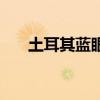 土耳其藍眼睛的寓意（土耳其藍眼睛）