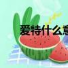 愛特什么意思網絡語（aite什么意思）