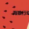 海狼行動電影完整版（海狼行動）