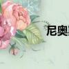尼奧斯湖面積（尼奧斯湖）