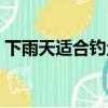 下雨天適合釣魚嗎夜釣（下雨天適合釣魚嗎）