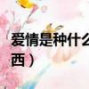 愛情是種什么東西讓人著迷（愛情是種什么東西）